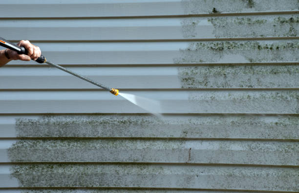 Best Roof Washing  in Rio Dell, CA